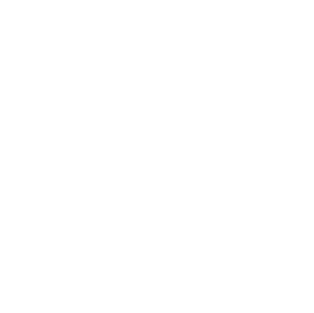 OMNI CPA logo